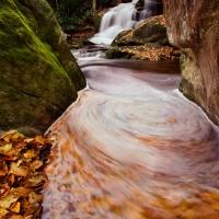 Hidden Paradise