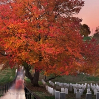 Arlington Cemetery Autumn