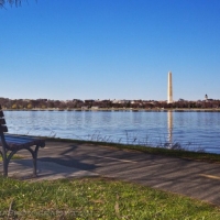 Bench Washington Monument