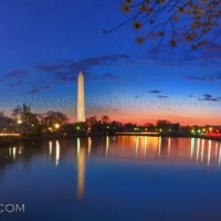 Washington DC Cherry Blossom Sunrise Panorama