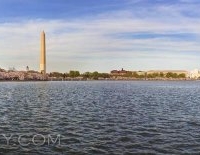 tidal_basin_cherry_blossom_panorama