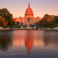 U.S. Capitol Pink Sunset