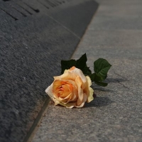 Vietnam Memorial Flower