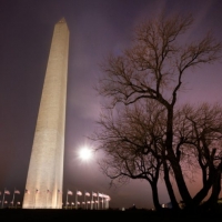 Washington DC Solstice Moon Winter Tree