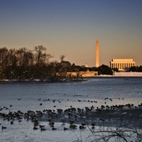 Washington DC Ice