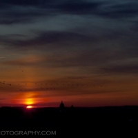 Washington DC Monument Sunrise Birds
