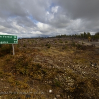 olympic_national_park_cleared_forest