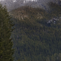 A Snowy Peak