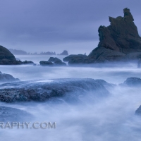 Shapes of the Shi Shi coastline