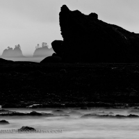 Shi Shi Silhouette