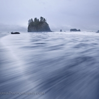 Ocean's Pull