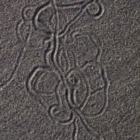 second_beach_crab_carvings