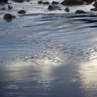 Layers of the Shore