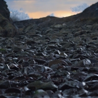 Splashes over Rocks