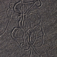 Snail Sand Pattern