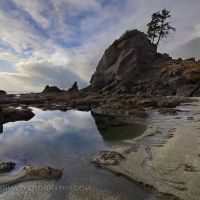 Shi Shi Beach Reflection