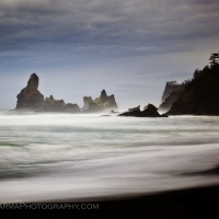 Shi Shi Beach and Rainforest at Night