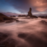 Magenta Shore