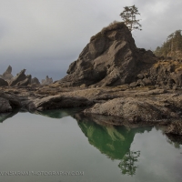 Shi Shi Beach Reflection