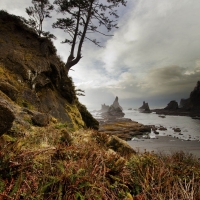 Down to Shi Shi Beach