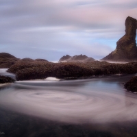 Tide Pool Hurricane