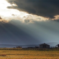 Farm Sun Ray Horse Virginia