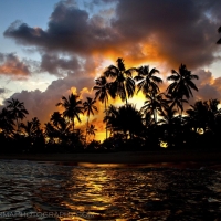 The sun sets behind trees on the beach in Praia Do Forte